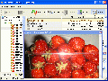 Active UNDELETE Screenshot