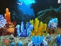 Aquatica 3D Screenshot