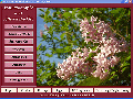 Aromatherapie Screenshot