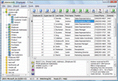 xBaseView Database Explorer Screenshot xBaseView Database Explorer Screenshot