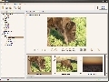 BVASystem Screenshot