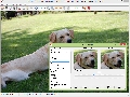 IrfanView Screenshot