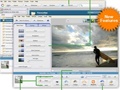 Picasa Screenshot