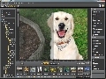 Ashampoo Photo Optimizer 5 Screenshot