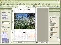 SF Kalender Screenshot