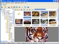 XnView Screenshot